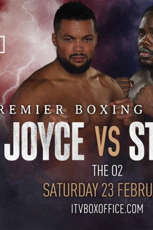 Joe Joyce vs. Bermane Stiverne