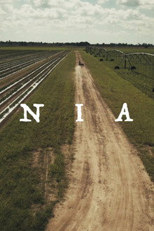 Boniato