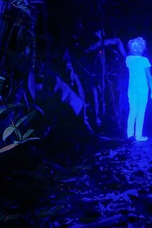 The Lost Children
