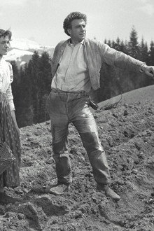 Uli der Knecht