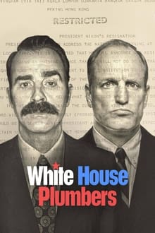 The White House Plumbers tv show poster