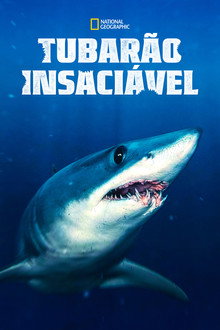 Tubarão Insaciável