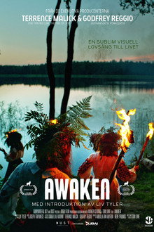 Awaken