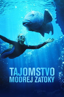 Tajomstvo modrej zátoky