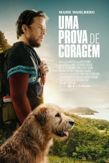 Poster do filme Uma Prova de Coragem