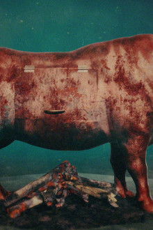 Dark Marvels - Season 1