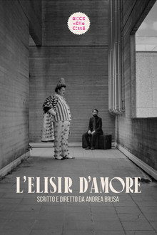 L'elisir d'amore