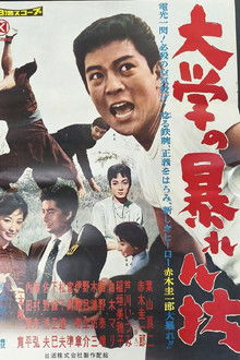 大学の暴れん坊