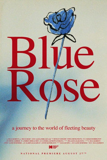 Blue
Rose