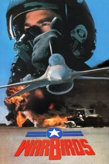 Poster do filme Warbirds