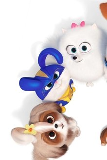 Mascotas-2