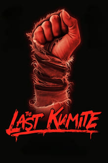 Poster do filme The Last Kumite