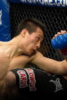 WEC Greatest Knockouts