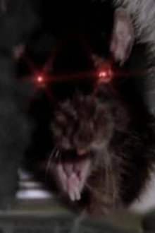 Rat Scratch Fever