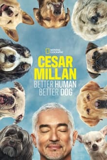 Cesar Millan: Better Human, Better Dog tv show poster