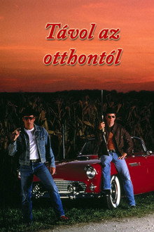 Távol az otthontól (A Roberts testvérek)