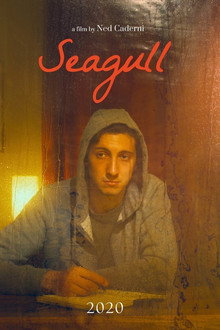 Seagull