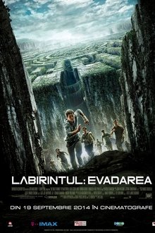 Labirintul: Evadarea