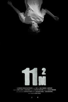11m2