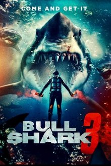 Bull Shark 3 Bull Shark 3