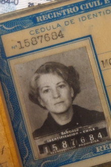Alicia bajo la higuera
