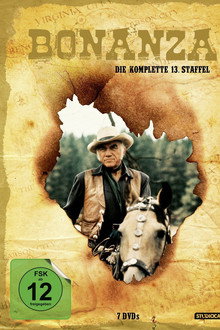 Staffel 13