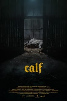 Poster do filme Calf