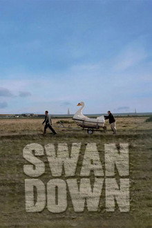 Swandown