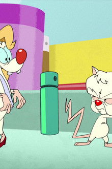 Animaniacs season 2 episode 17