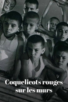 Coquelicots rouges sur les murs