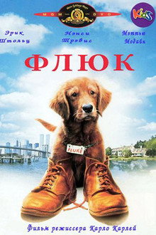 Флюк