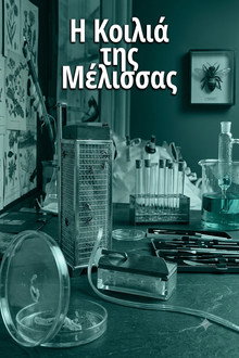 Η κοιλιά της μέλισσας