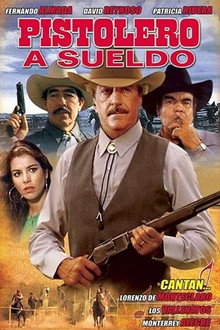 Pistolero a sueldo