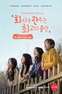 Poster da série The Best Moment To Quit Your Job