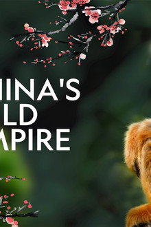 China's Wild Empire