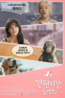 Monkey and Dog Romance