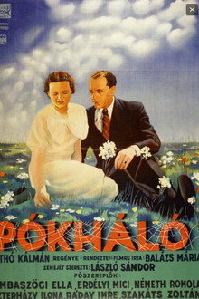 Pókháló