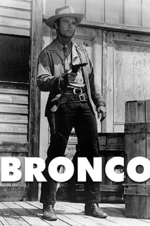 Poster da série Bronco