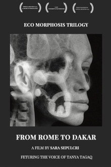 From Rome to Dakar