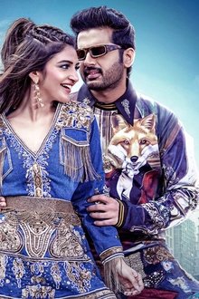 రాబిన్-హుడ్