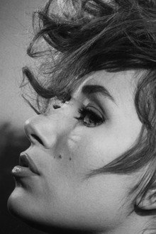 Filles de nuit