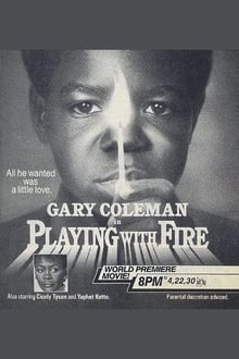 Poster do filme Playing with Fire