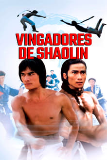Poster do filme Vingadores de Shaolin