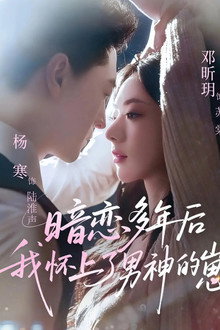 暗恋多年后我怀上了男神的崽