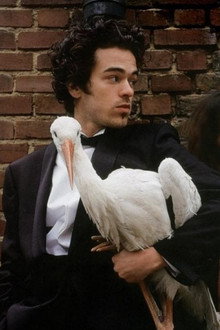 Je suis né d'une cigogne