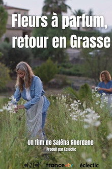 Fleurs à parfum, retour en Grasse