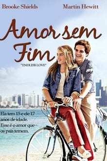 Poster do filme Amor Sem Fim