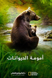 أمومة الحيوانات