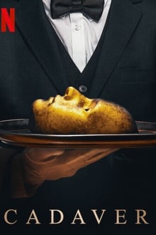 Rascunho automático