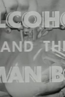 Alcohol and the Human Body